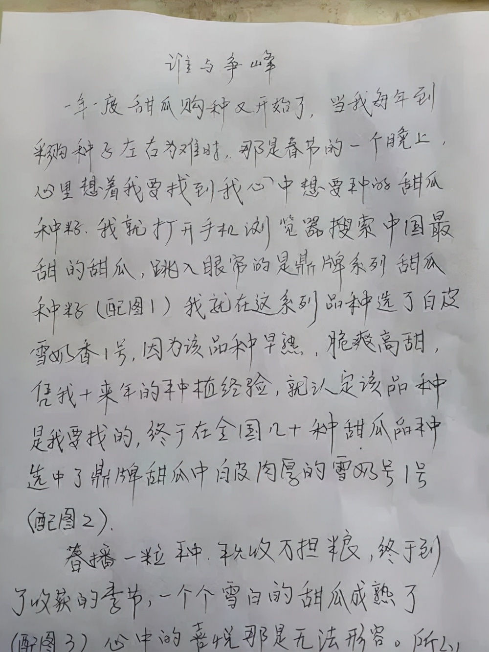 河南焦作的李向林今年種植甜瓜新品種，客戶直接拉貨走人