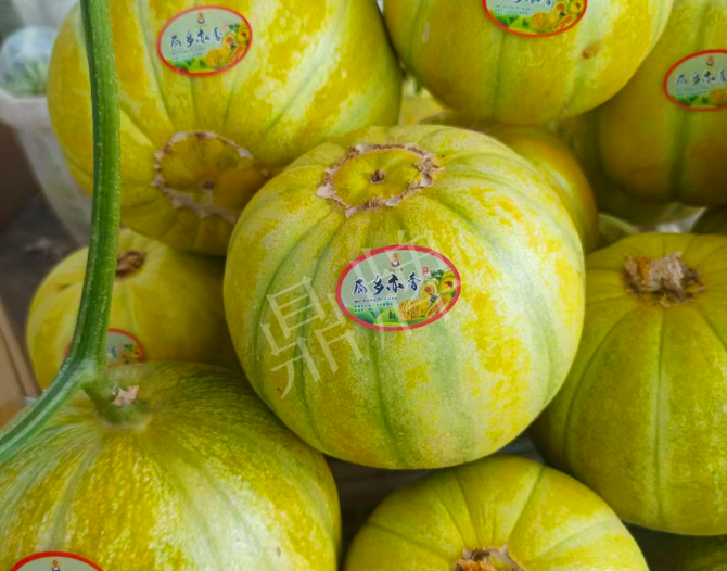 蔬菜種子種植戶(hù)客戶(hù)點(diǎn)評(píng)-這個(gè)甜瓜熟透了都不裂瓜，在新疆賣(mài)14元每公斤！